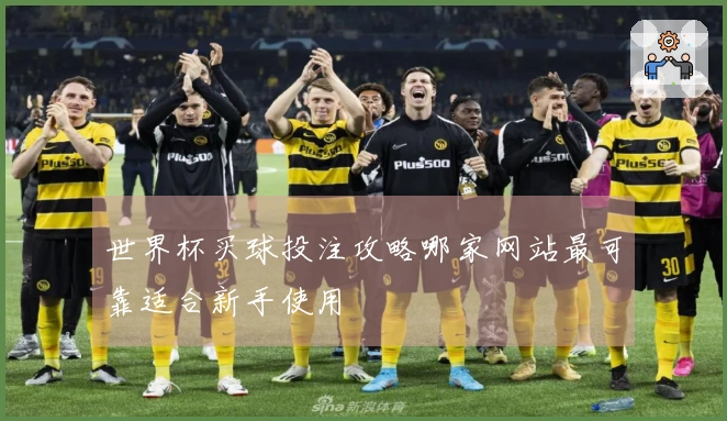 世界杯买球投注攻略哪家网站最可靠适合新手使用