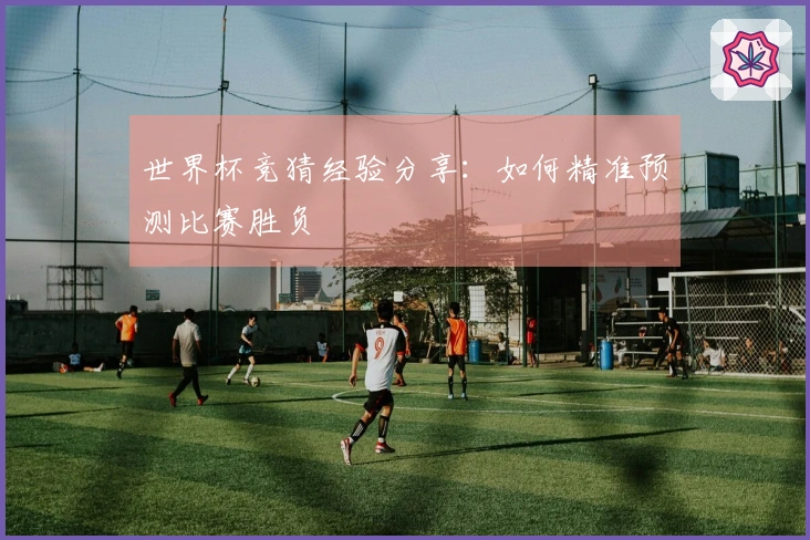 世界杯竞猜经验分享：如何精准预测比赛胜负