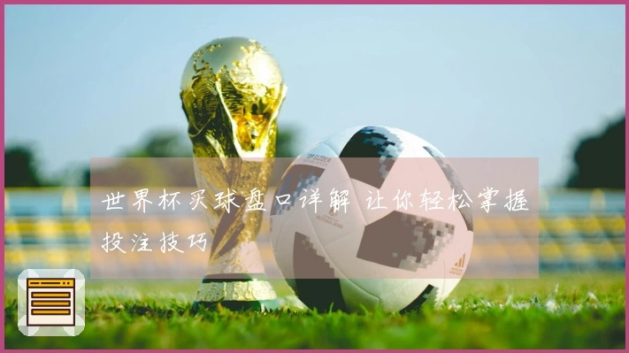 世界杯买球盘口详解 让你轻松掌握投注技巧