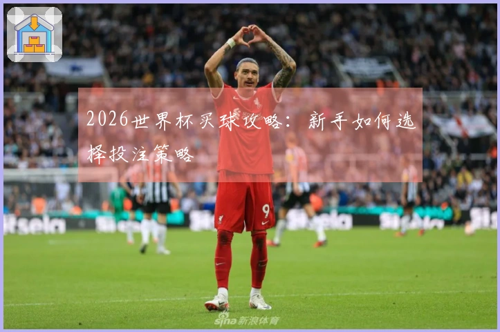 2026世界杯买球攻略：新手如何选择投注策略
