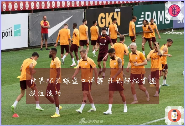 世界杯买球盘口详解 让你轻松掌握投注技巧