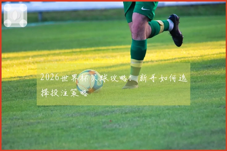 2026世界杯买球攻略：新手如何选择投注策略
