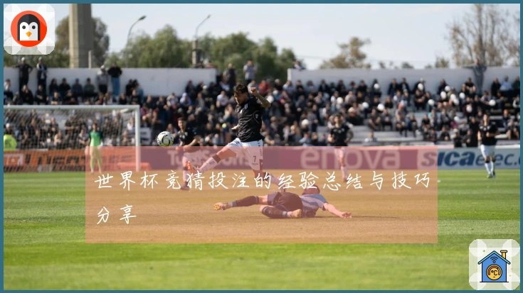 世界杯竞猜投注的经验总结与技巧分享