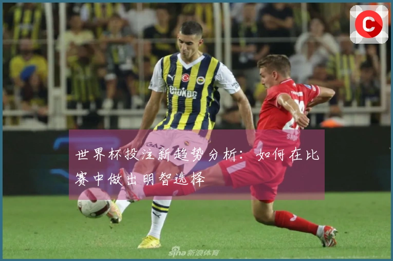 世界杯投注新趋势分析：如何在比赛中做出明智选择